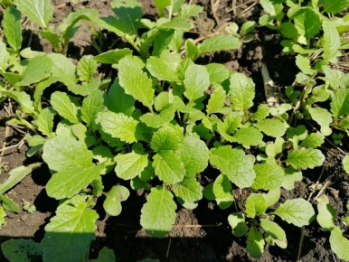 �������� � ������: ���� � ���������� �������������