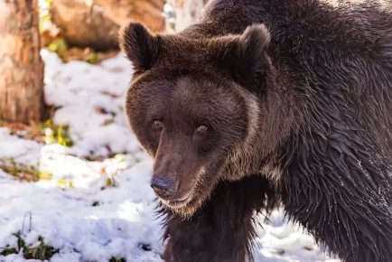 �������� � ��� ������: ������������ ������������ � ������� � ��������