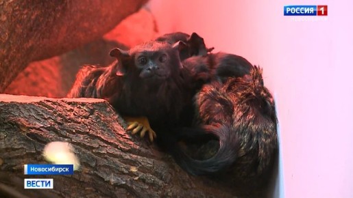 ������� �������� ������. ������������� ������� ������� ������ ������ � ������ ������ �� �������� � ��������� ������ �����! � 28 ������: � �����: 09:00�21:00 � �������� � ���������: 09:00�22:00 ��� ���� ����� ��������� ����...