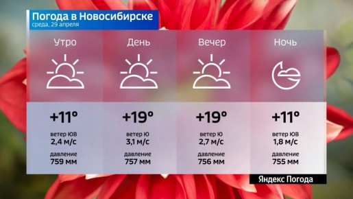 ������� ������ �� 29 ������ 2026 ���� � ������������� �������