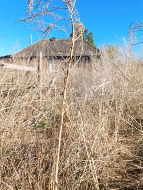 �������� ���� ����� �������-������ � ������� ���� ������� ��� ������