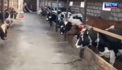 ���������� ������. �������� �������� ���������� ������ � 40-������� �����������, ������� ������� ��������� �����