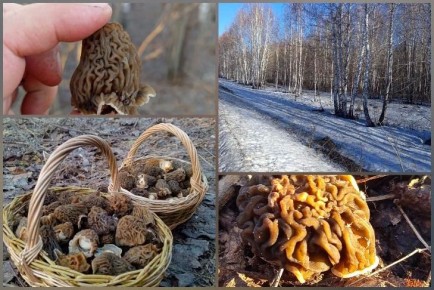 ��� ������� �������� � ������: ������������� ������� ������� ������ �����