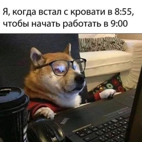 �������� vs �������: ������ ��, ��� �������� �� ���� ��������� ��������