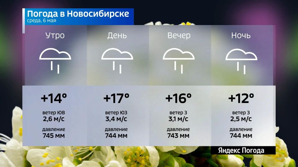 Прогноз погоды на 6 мая 2026 года в Новосибирской области
