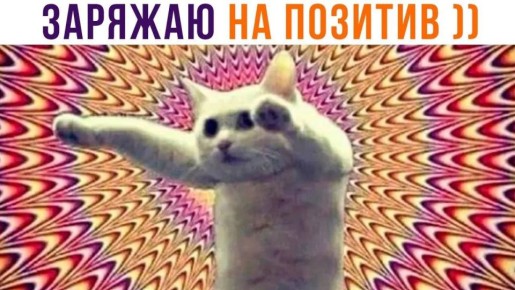 �������� �������� ����� ������ ���������� ��������