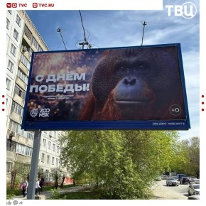������������� ������� ������ ��������� �� ������ � ����������� � 9 ���