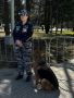 Полицейские обеспечили охрану общественного порядка во время празднования Дня Победы в столице Сибири и в районных центрах области