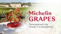 Michelin ���������� ����� ��� ��� ���������