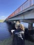 СК начал доследственную проверку по факту утопления 14-летнего подростка в реке Карасук в Новосибирской области