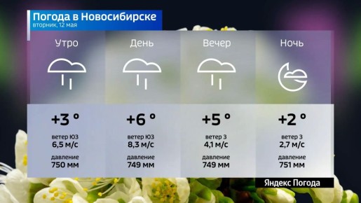 ������� ������ �� 12 ��� 2026 ���� � ������������� �������