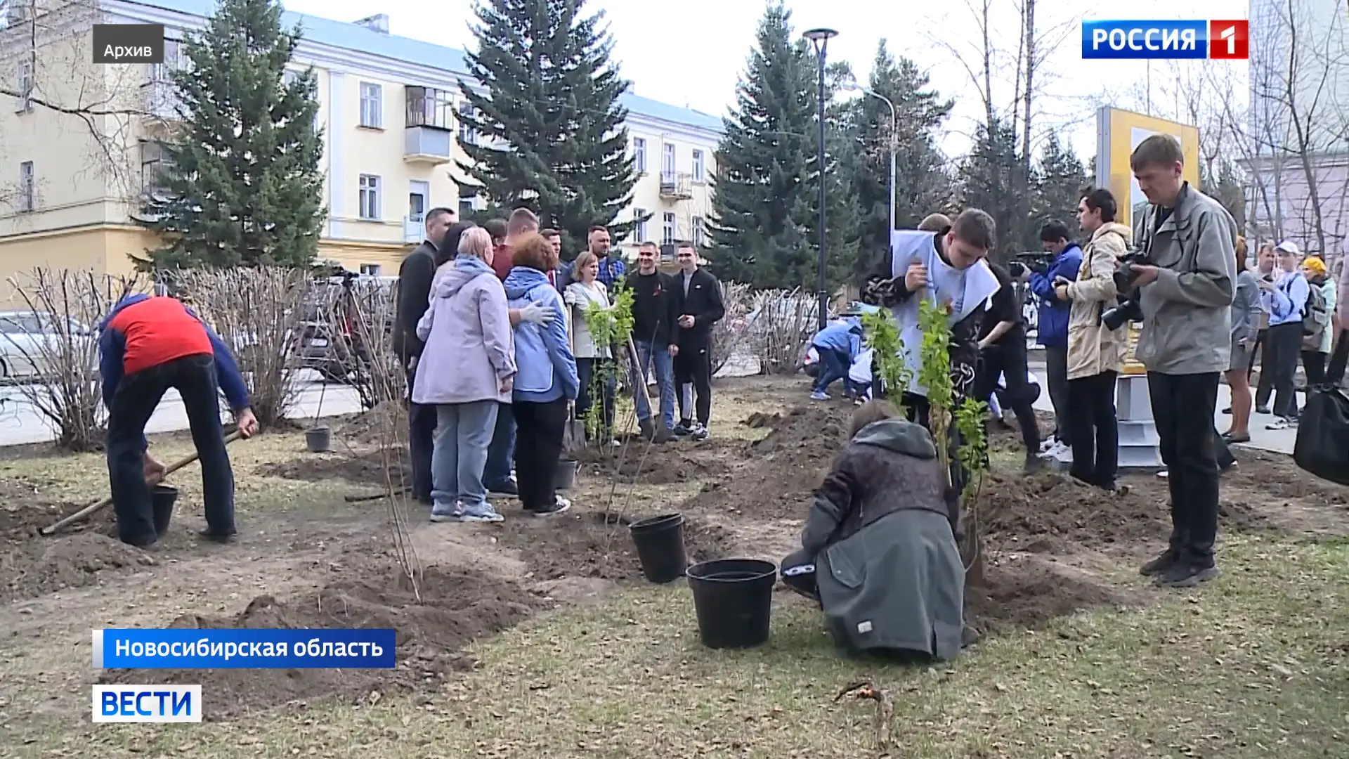 Навсегда в памяти. В Колыванском районе Новосибирской области высадят почти пять тысяч кедров в ходе акции «Сад памяти»