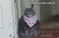 Покупайте фрукты, ягоды и зелень вовремя