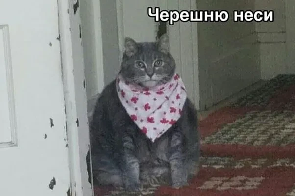 Покупайте фрукты, ягоды и зелень вовремя