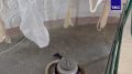 � ���������� ������������ ������� � ������������ ���������� ����� ����� ������