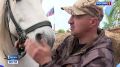 Надёжные друзья. Ветеран СВО Дмитрий Лузан открыл в Бердске военно-патриотический конный клуб для реабилитации военнослужащих