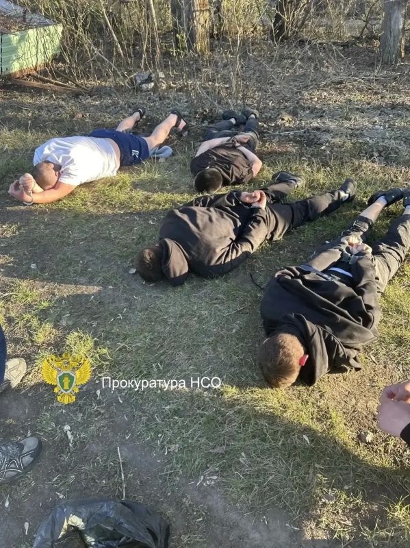 Попытка украсть 4,5 млн рублей: в Краснозерском районе задержаны трое молодых людей Попытка украсть 4,5 млн рублей: в Краснозерском районе задержаны трое молодых людей