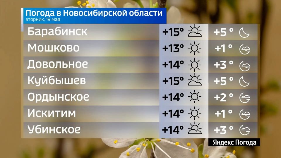Прогноз погоды на 19 мая 2026 года в Новосибирской области Прогноз погоды на 19 мая 2026 года в Новосибирской области