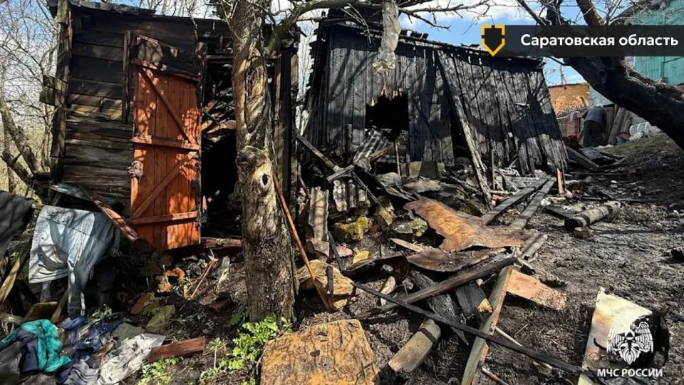 Число пожаров из-за шашлыков резко растёт в России Число пожаров из-за шашлыков резко растёт в России