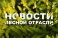 Интерфакс: Рослесхоз рекомендует ввести режим ЧС из-за лесных пожаров в Приамурье и Хабаровском крае