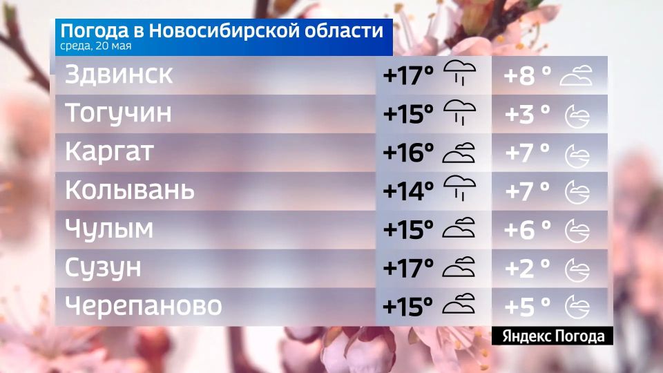 Прогноз погоды на 20 мая 2026 года в Новосибирской области Прогноз погоды на 20 мая 2026 года в Новосибирской области