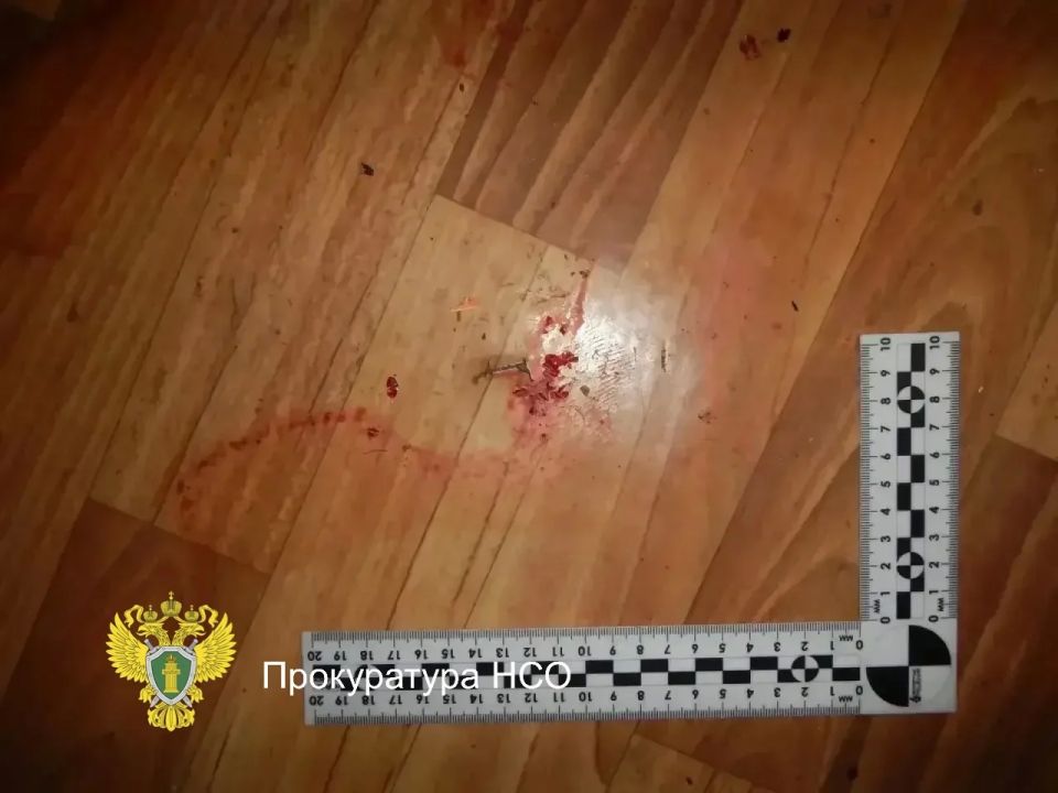Леденящая кровь история: житель НСО убил мужчину, был осужден, отбыл за это наказание, вернулся из мест лишения свободы и убил его отца Леденящая кровь история: житель НСО убил мужчину, был осужден, отбыл за это наказание, вернулся из мест лишения свободы и убил его отца