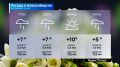Прогноз погоды на 24 мая 2026 года в Новосибирской области
