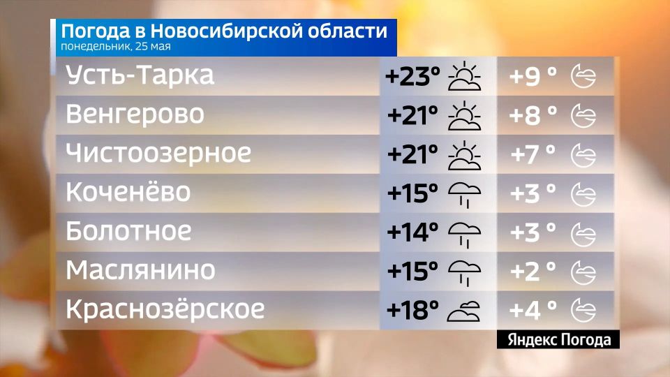 Прогноз погоды на 25 мая 2026 года в Новосибирской области Прогноз погоды на 25 мая 2026 года в Новосибирской области