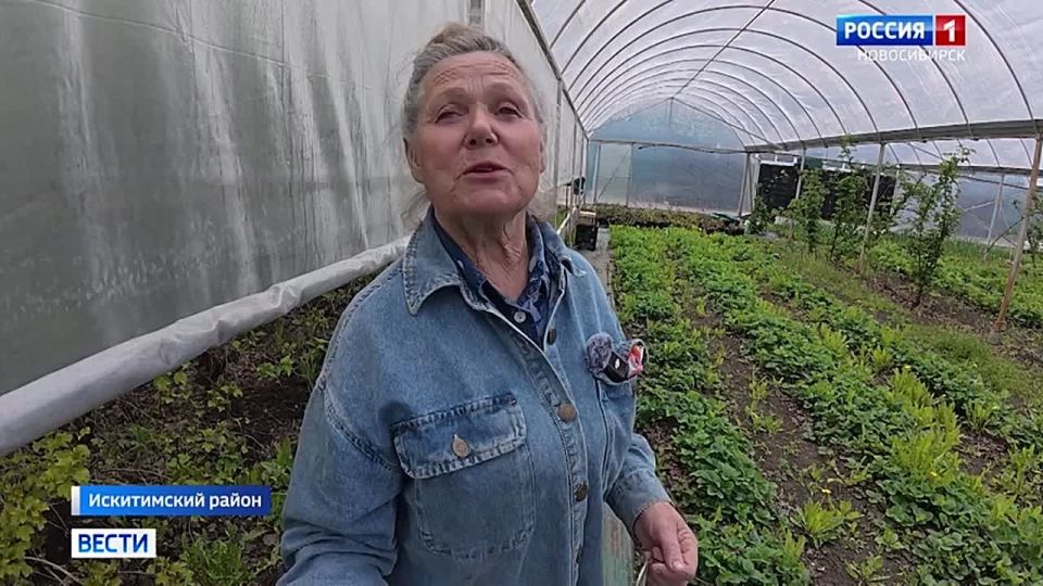 Секретные решения. Новосибирские огородники поделились секретами хорошего урожая