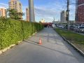 �������� ����������������� ���� ������������ ������� � ������������