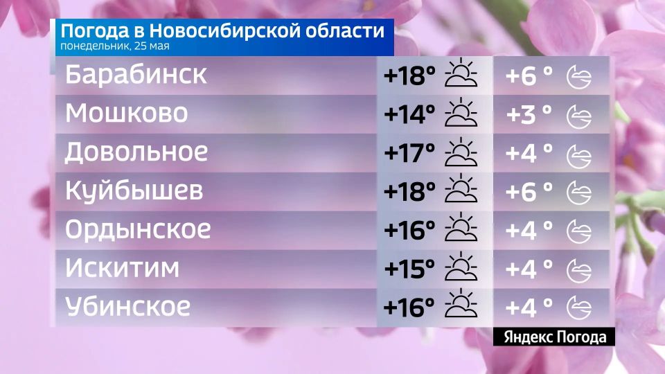 Прогноз погоды на 25 мая 2026 года в Новосибирской области Прогноз погоды на 25 мая 2026 года в Новосибирской области