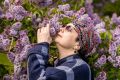 Новосибирцев просят не есть счастливые цветы сирени