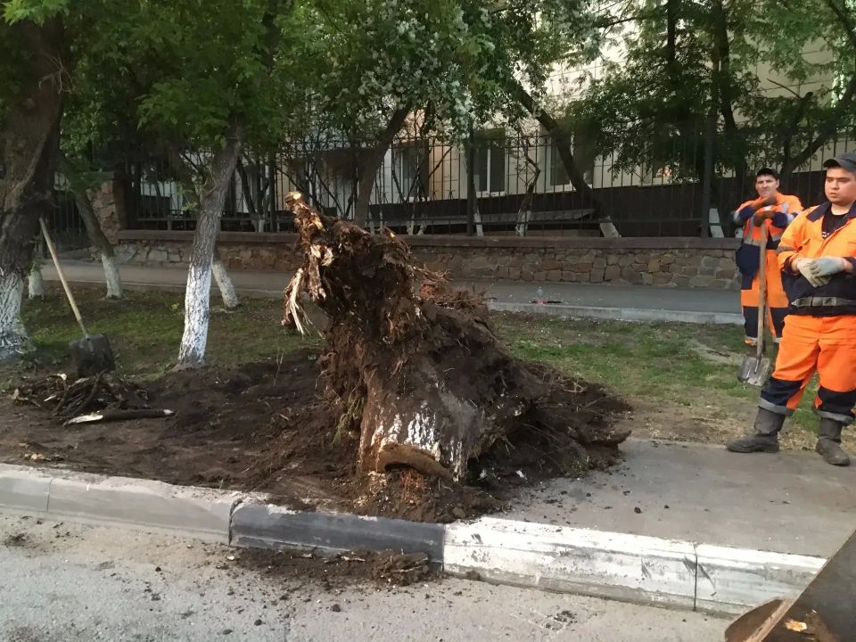За прошедшие сутки с магистралей и улиц Новосибирска вывезли 397 кубометров мусора и 560 тонн смета и грязи За прошедшие сутки с магистралей и улиц Новосибирска вывезли 397 кубометров мусора и 560 тонн смета и грязи