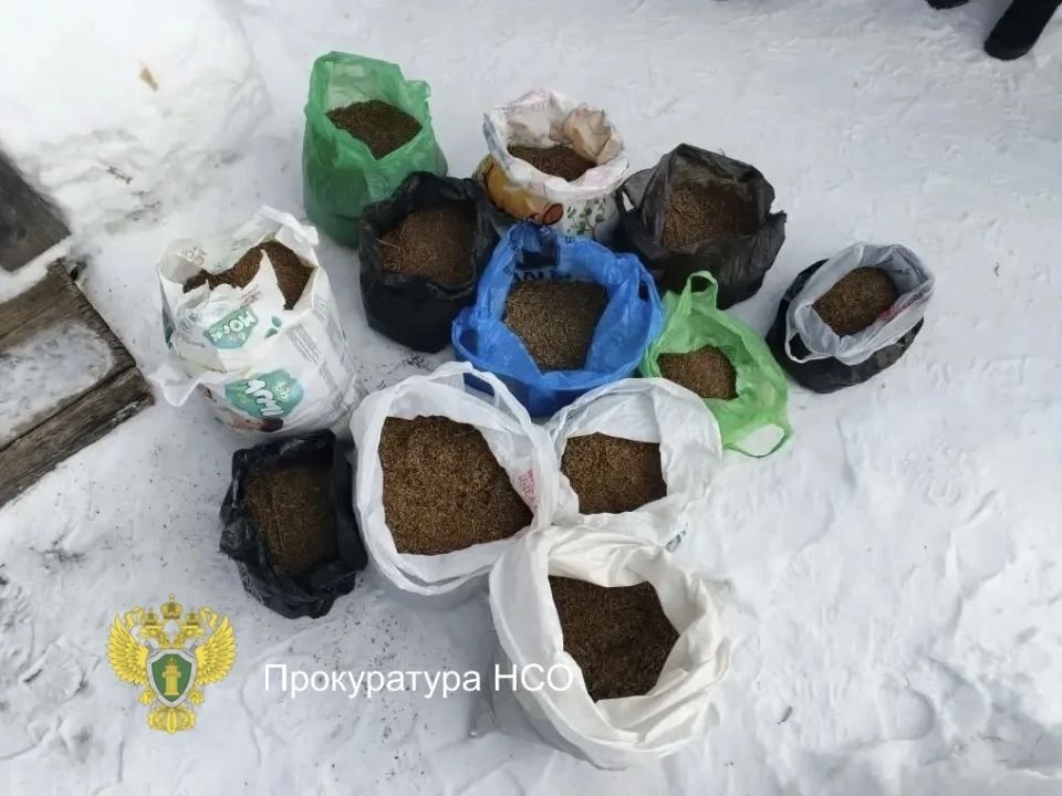 Седина в бороду, бес в ребро: