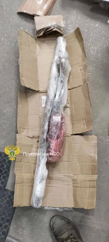 В Новосибирске перед судом предстанет мужчина за незаконные приобретение, хранение, перевозку, сбыт основных частей огнестрельного оружия