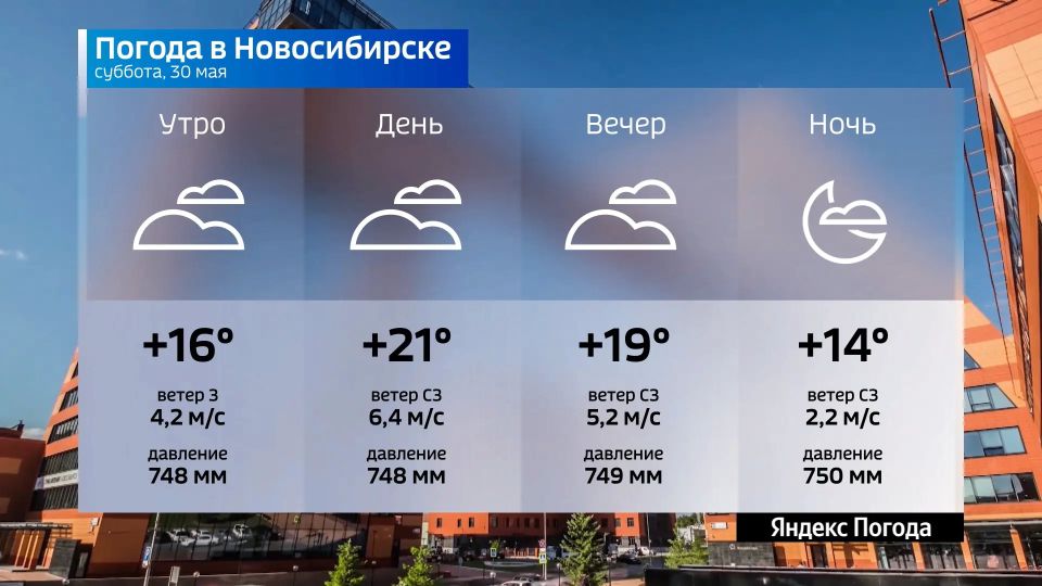 Прогноз погоды на 30 мая 2026 года в Новосибирской области