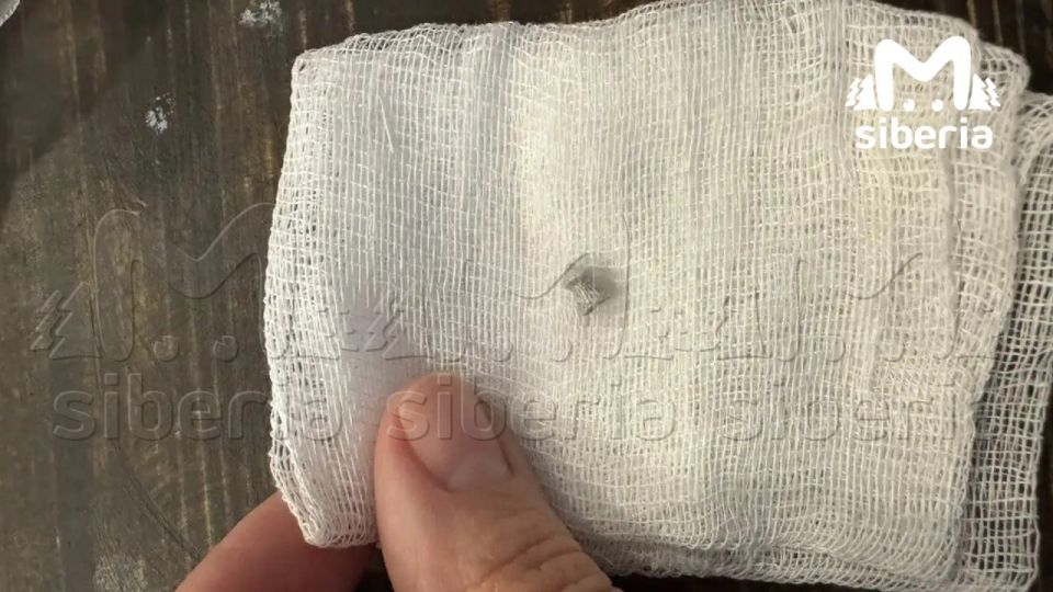 Неизвестный выстрелил в кота из пневматики в Новосибирске Неизвестный выстрелил в кота из пневматики в Новосибирске