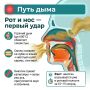31 мая — день без табака. Часто мы забываем, что наше тело — это сложная система, где всё взаимосвязано