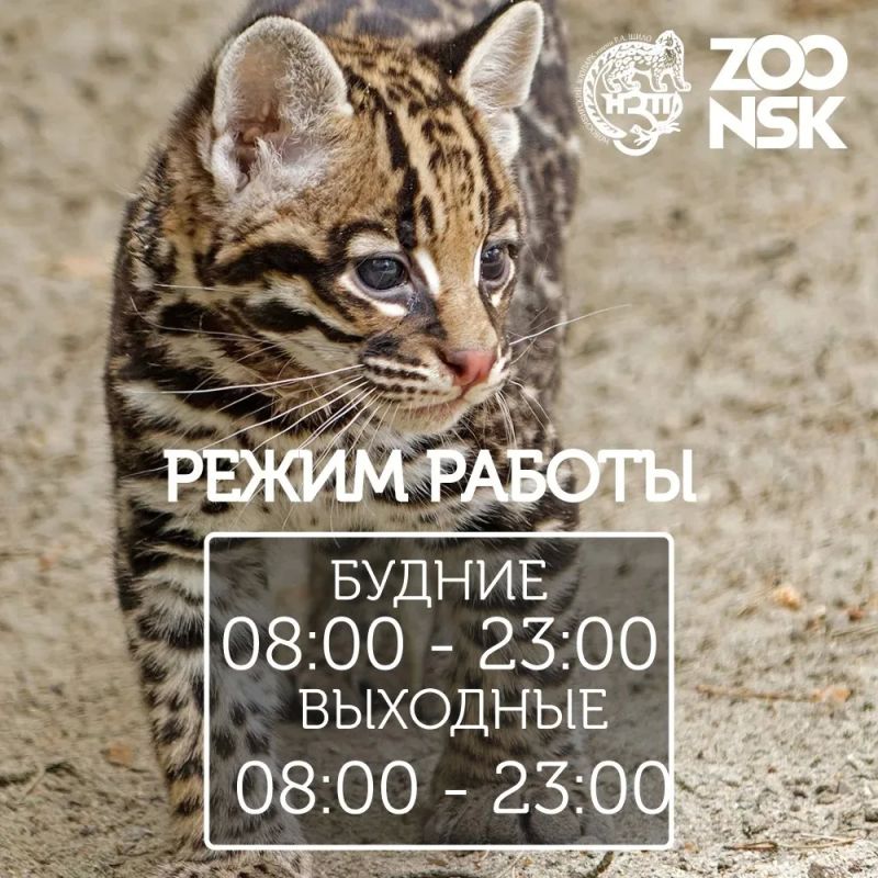 Новосибирский зоопарк перешёл на летний режим работы