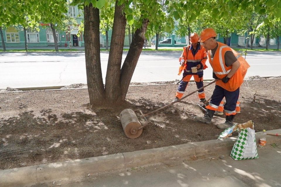 Новый газон посадили на Богдашке: трава взойдёт к середине июня Новый газон посадили на Богдашке: трава взойдёт к середине июня