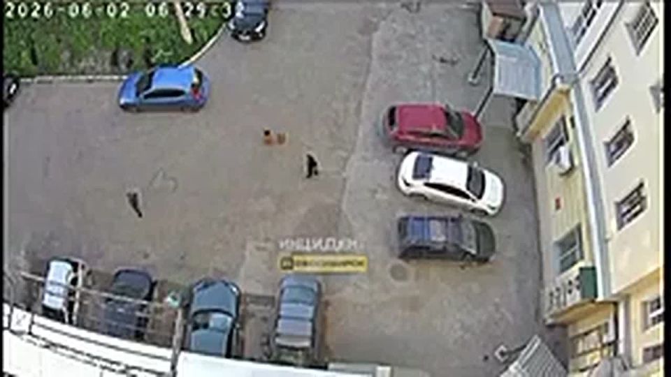 Громкие звуки напугали ранним утром жителей дома на Авиастроителей в Новосибирске