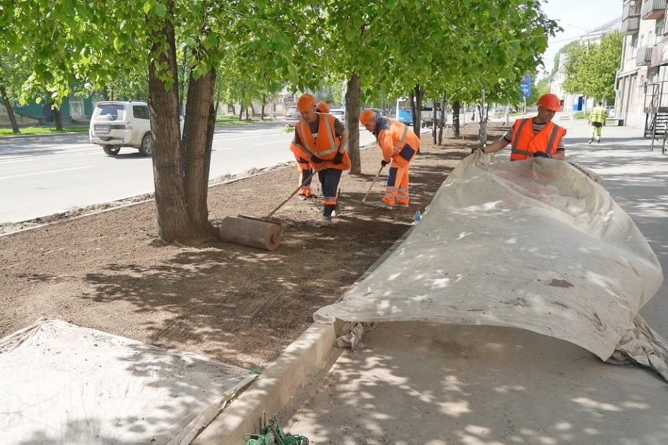Новый газон посадили на Богдашке: трава взойдёт к середине июня Новый газон посадили на Богдашке: трава взойдёт к середине июня