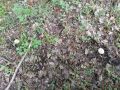 � ������������� ������� ����� ������ � ���� ������ ����������