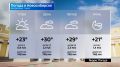 Прогноз погоды на 7 июня 2026 года в Новосибирской области