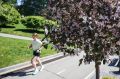 В начале недели погода кардинально не изменится: утром +22°, днём потеплеет до +28°