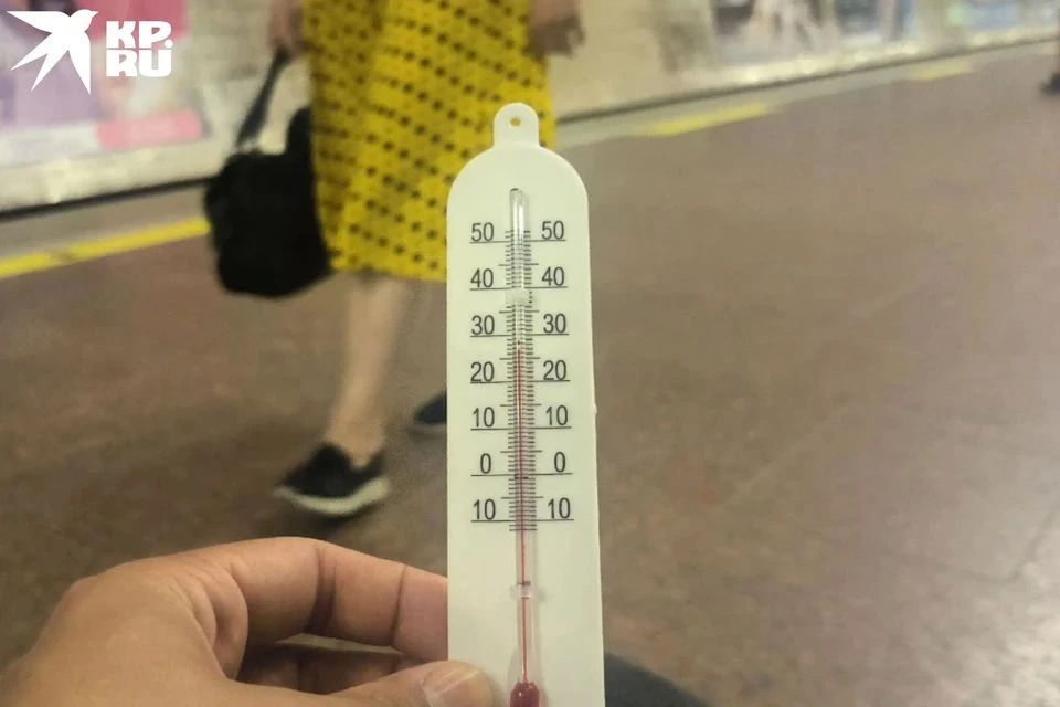 «Еду и мечтаю о кондиционере»: в Новосибирске автобусы нагрелись до 39 градусов в жару «Еду и мечтаю о кондиционере»: в Новосибирске автобусы нагрелись до 39 градусов в жару
