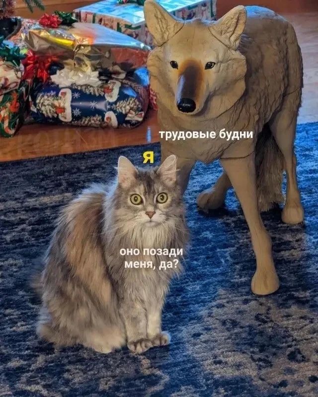 Понедельник после жарких выходных ощущается примерно так…