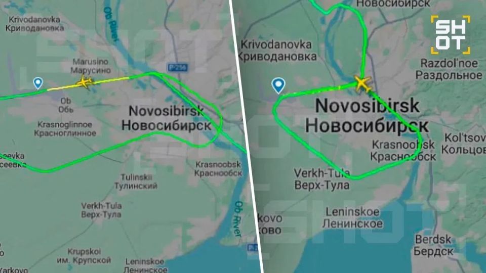 Собака захватила взлётную полосу в Новосибирске