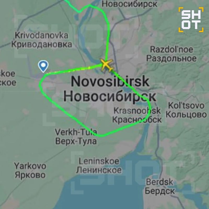 Собака задержала два самолёта в аэропорту Новосибирска Собака задержала два самолёта в аэропорту Новосибирска