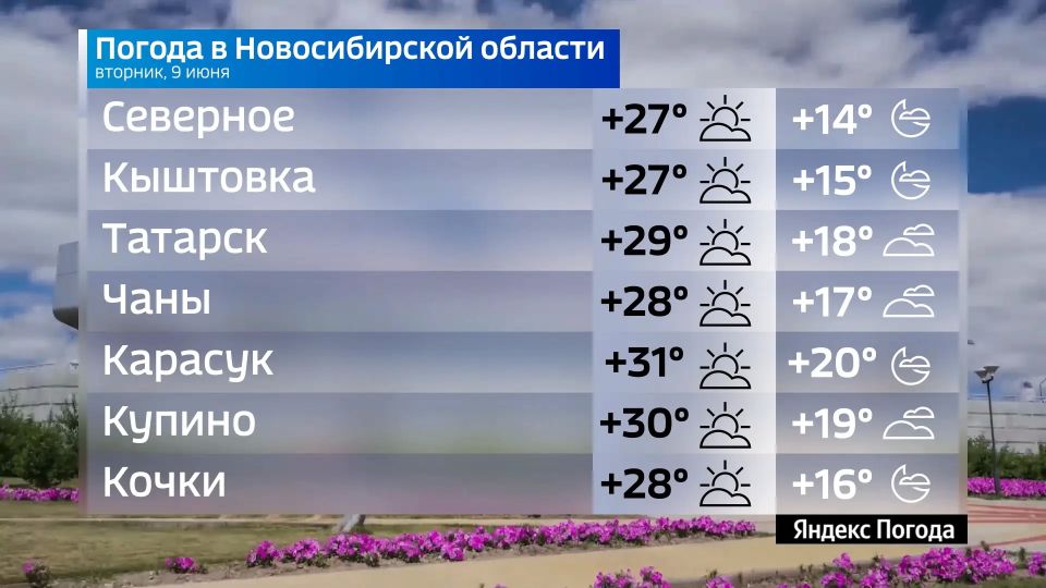 Прогноз погоды на 9 июня 2026 года в Новосибирской области Прогноз погоды на 9 июня 2026 года в Новосибирской области
